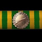 Battlefield 1 Scout Ribbon of Valor