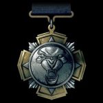 Battlefield 3 Squad Rush Medal