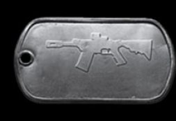 Battlefield 4 Weapon Dog Tags