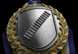 Battlefield 4 Weapon Medals