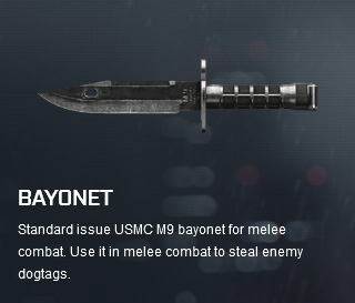 Battlefield 4 Bayonet