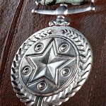Battlefield V Distinguished Long Service Award Medal