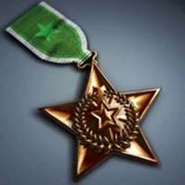 Battlefield 2 Bronze Star Medal
