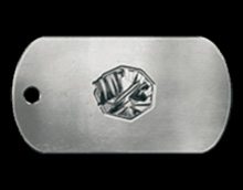 Battlefield 4 Air Superiority Dog Tag