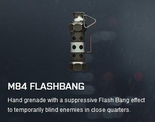 Battlefield 4 M84 Flashbang