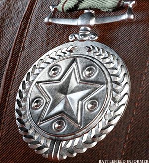 Battlefield V Distinguished Long Service Award Medal