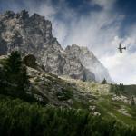 battlefield-1-monte-grappa-2