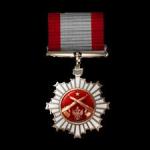 battlefield-1-brusilov-star-medal