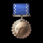 battlefield-1-lightning-cross-order-medal