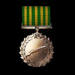 battlefield-1-scout-order-of-valor-medal