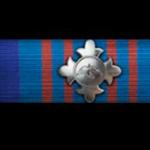 battlefield-1-avian-ribbon