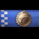battlefield-1-lightning-cross-ribbon