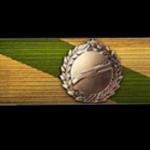 battlefield-1-medic-ribbon-of-valor
