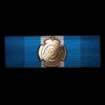 battlefield-1-newtonian-ribbon-of-military-merit
