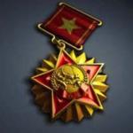 battlefield-2-peoples-medallion-medal