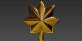 Battlefield 2 Ranks