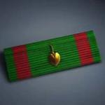 battlefield-2-combat-action-ribbon