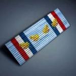 battlefield-2-legion-of-merit-ribbon