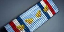 Battlefield 2 Ribbons