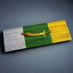 battlefield-2-mid-east-service-ribbon