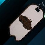 battlefield-2042-cgf42-weapon-charm
