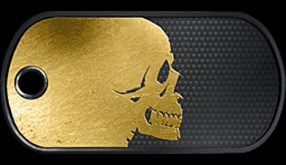 Battlefield 3 Golden Skull Dog Tag