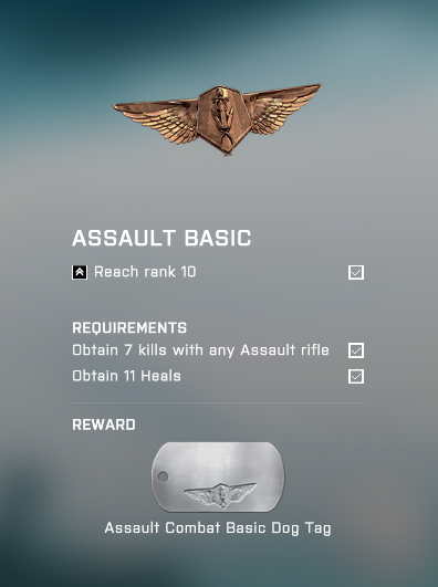 Battlefield 4 Assault Basic Assignment