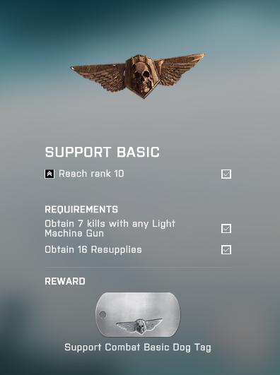Battlefield 4 Support Basic Assignment