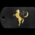 battlefield-4-premium-caspian-dog-tag