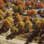 battlefield-4-caspian-border-10