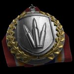 Battlefield 4 Assault Rifle Medal