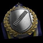 Battlefield 4 PDW Medal