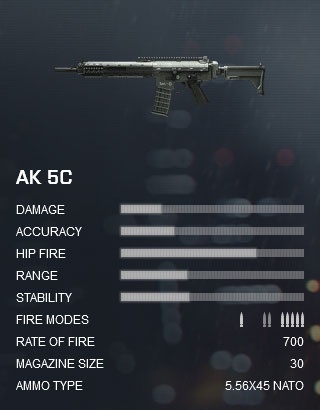 Battlefield 4 AK 5C