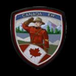 battlefield-hardline-stand-on-guard-patch