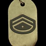 battlefield-v-rank-250-dog-tag