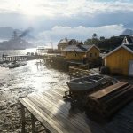 Battlefield V Lofoten Islands - 3