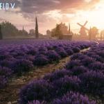 battlefield-v-provence-6