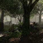 battlefield-v-solomon-islands-9