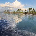 battlefield-v-wake-island-8