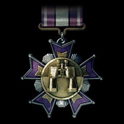 Battlefield 3 Recon Service Medal