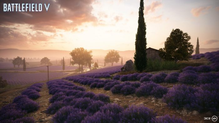 Battlefield V Provence - 7