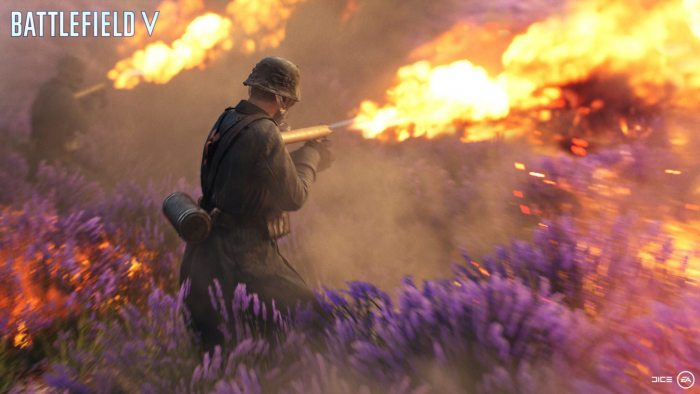 Battlefield V Provence - 8